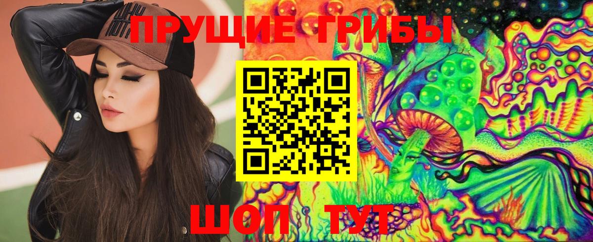 Хабаровск  Псилоцибиновые грибы мицелий  Вход с VPN 
